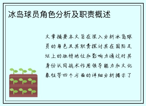 冰岛球员角色分析及职责概述